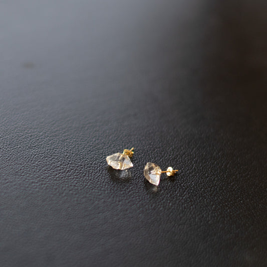 0102_Earrings