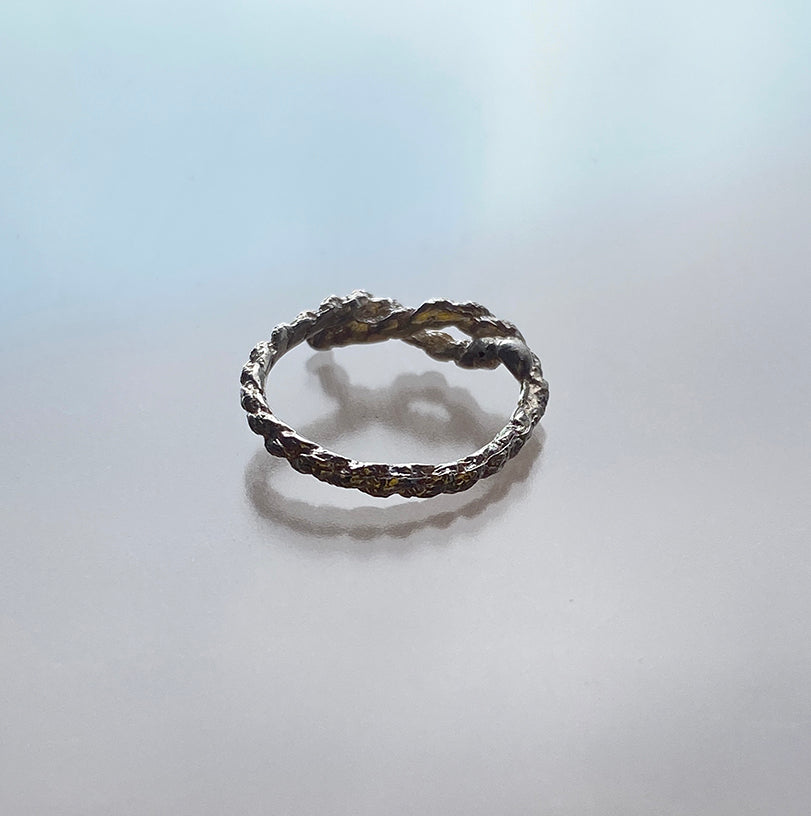 0031_Ring